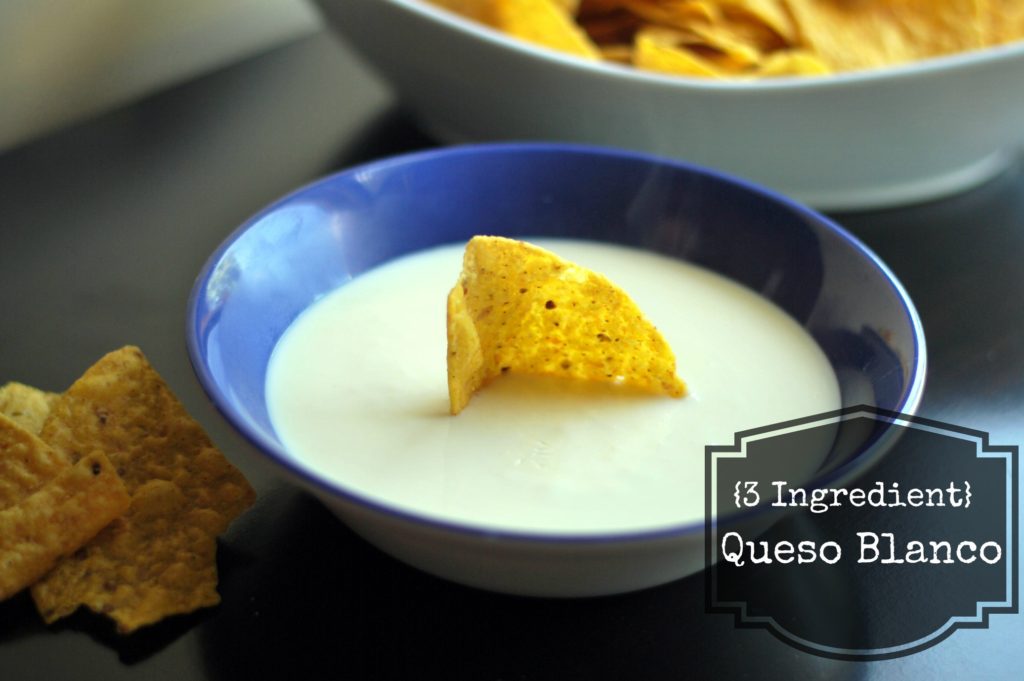 3 Ingredient Queso Blanco | Aunt Bee's Recipes