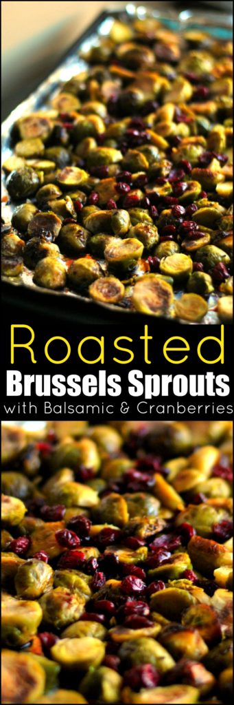 Roasted Brussels Sprouts with Balsamic & Cranberries | Aunt Bee's Recipes