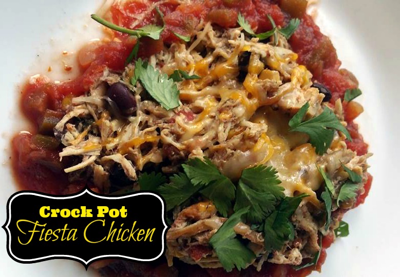 Fiesta Crock Pot Chicken | Aunt Bee's Recipes