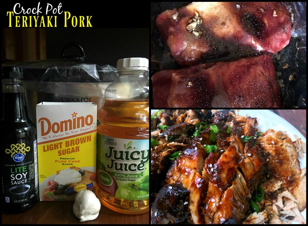 Crock Pot Teriyaki Pork | Aunt Bee's Recipes